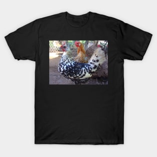 Hamburg Hens T-Shirt